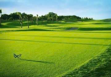 Twin Doves Golf Club
